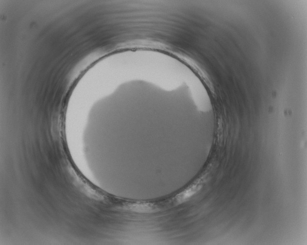 X0000082690998200702232159