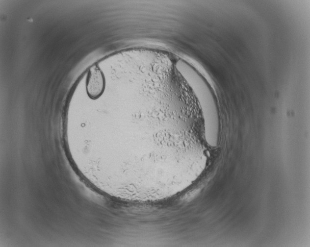 X0000082690999200702232159