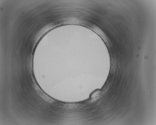 X0000082691000200702232159