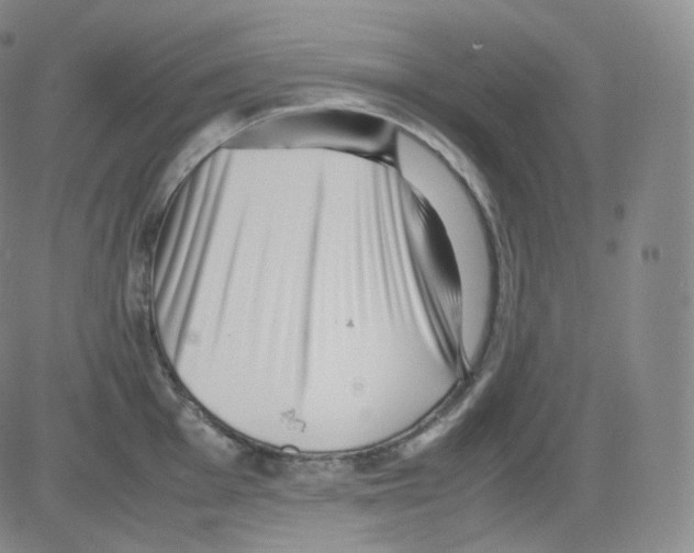 X0000082691001200702232159