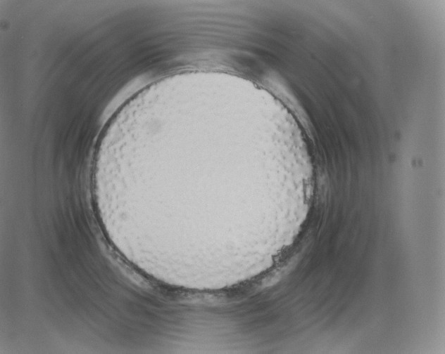 X0000082691002200702232159