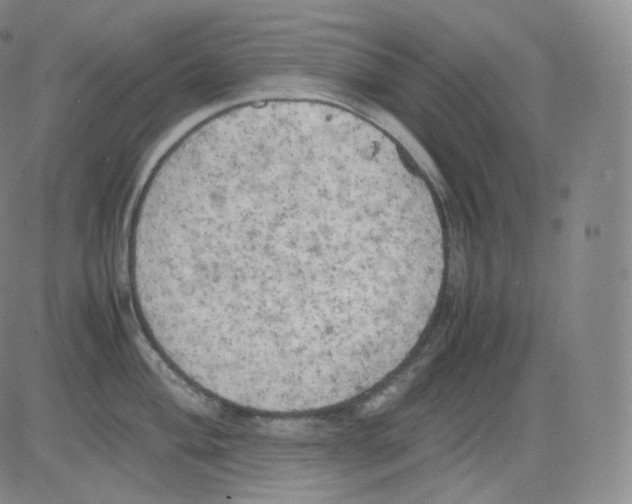 X0000082691004200702232159