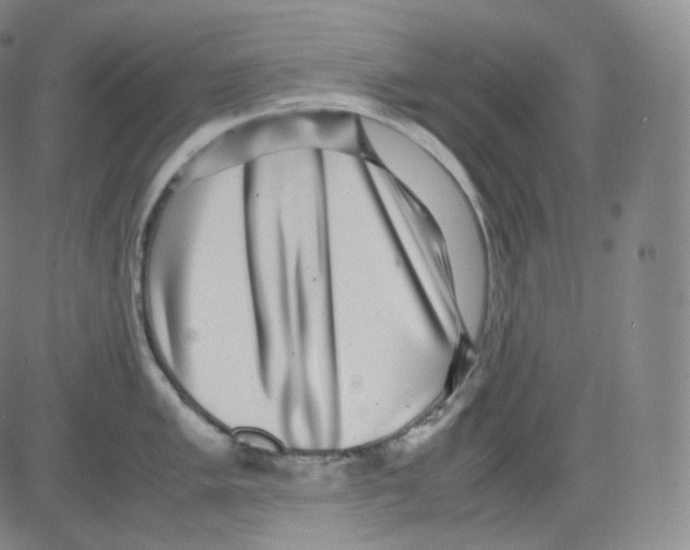 X0000082691005200702232159