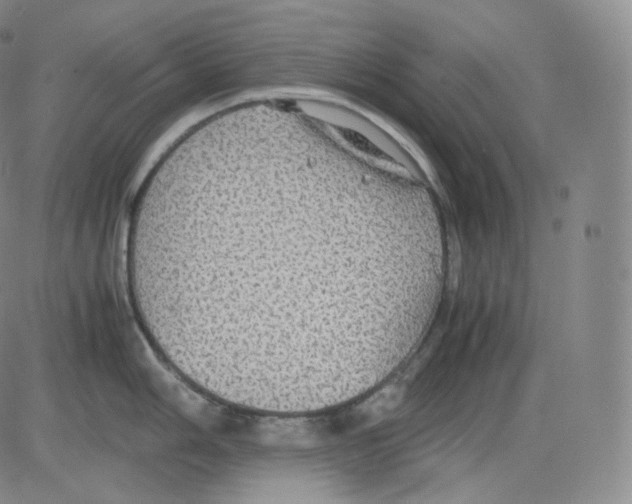 X0000082691006200702232159