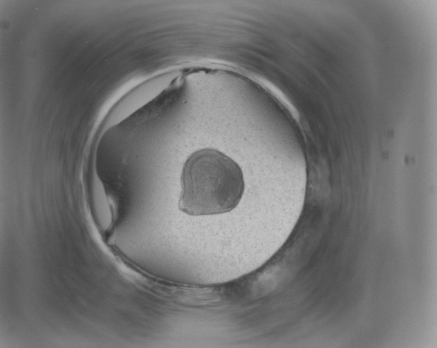 X0000082691007200702232159