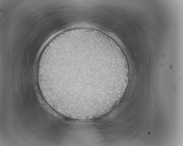 X0000082691008200702232159