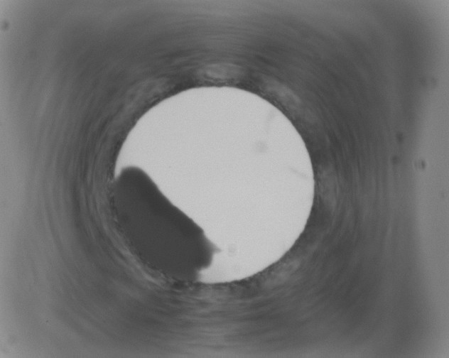 X0000082691009200702232158