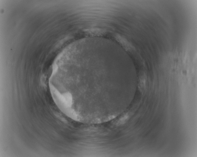 X0000082691010200702232158