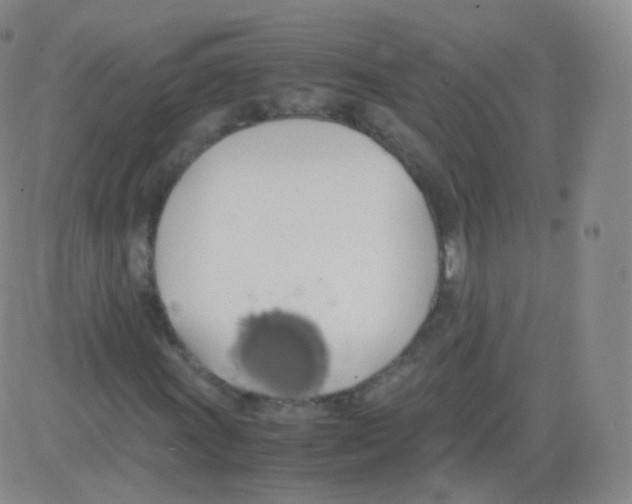 X0000082691011200702232158