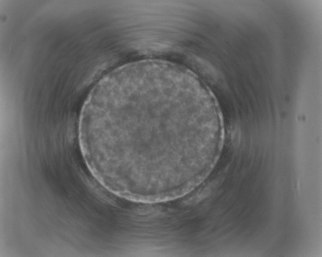 X0000082691012200702232158