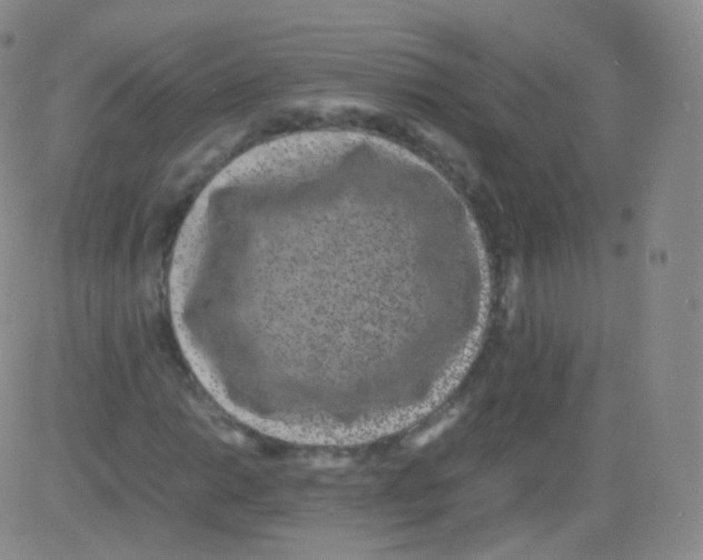 X0000082691014200702232158