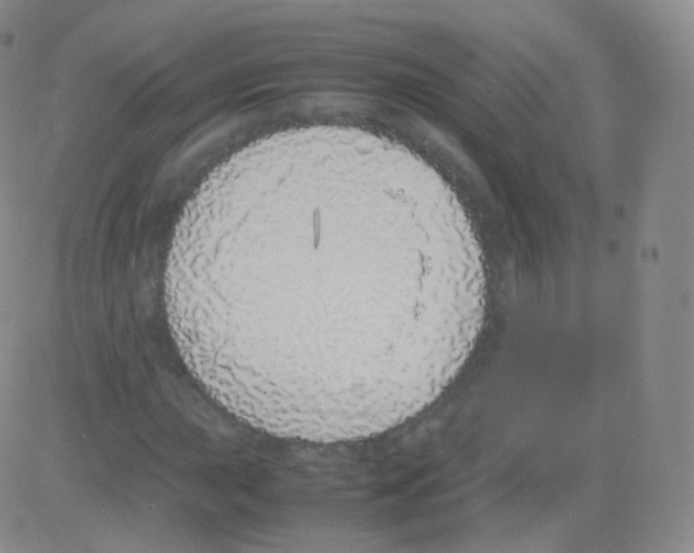 X0000082691015200702232158