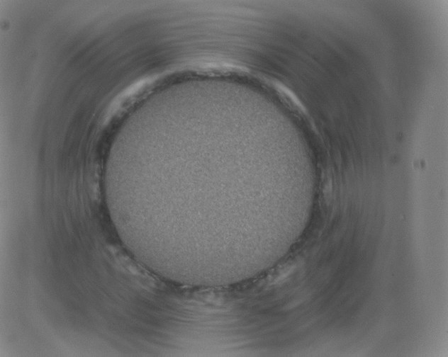 X0000082691016200702232158