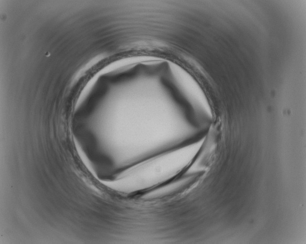 X0000082691018200702232158