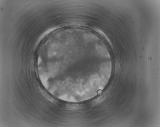 X0000082691019200702232158