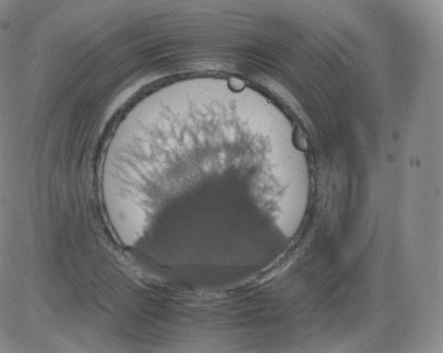 X0000082691023200702232159