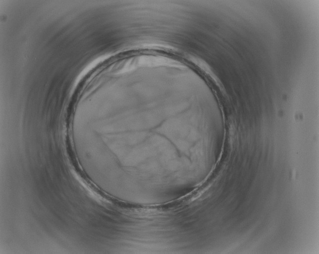 X0000082691024200702232159