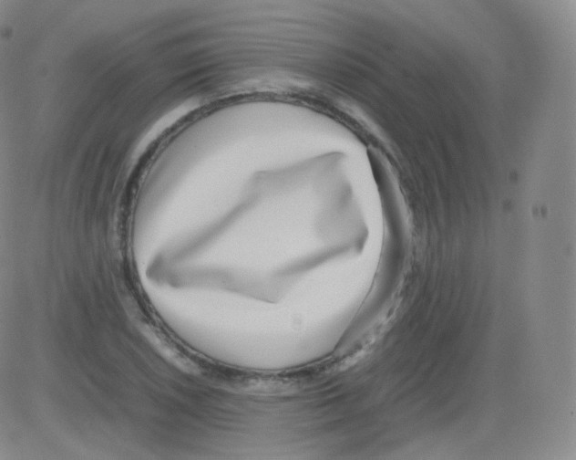 X0000082691026200702232159