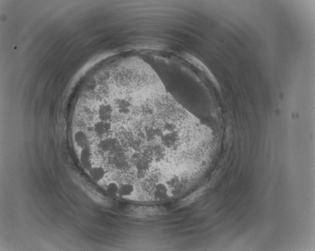 X0000082691027200702232159