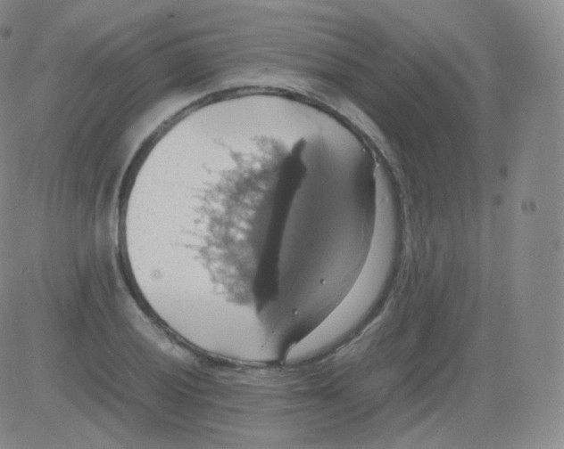 X0000082691028200702232159