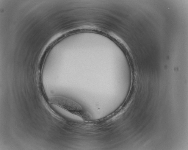 X0000082691029200702232159