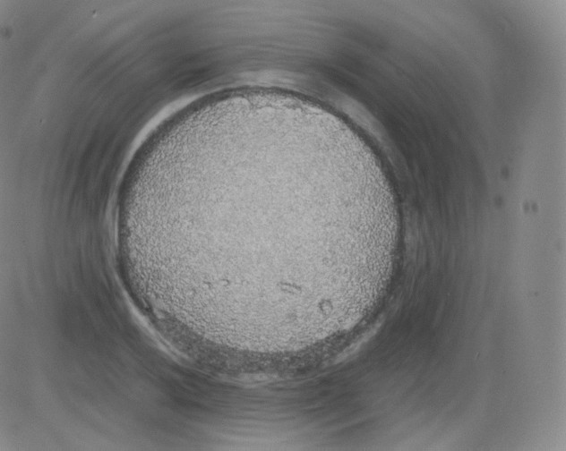 X0000082691032200702232159