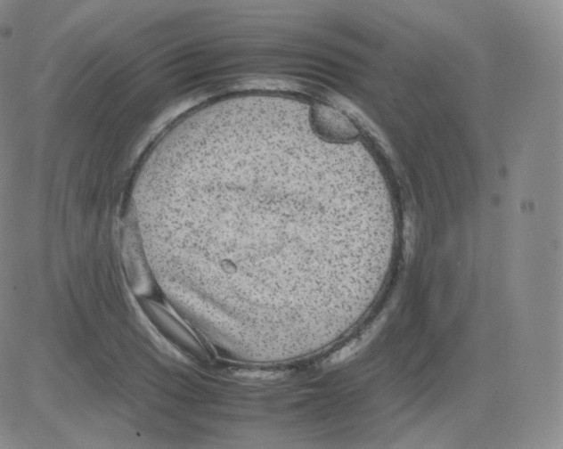 X0000082691033200702232159