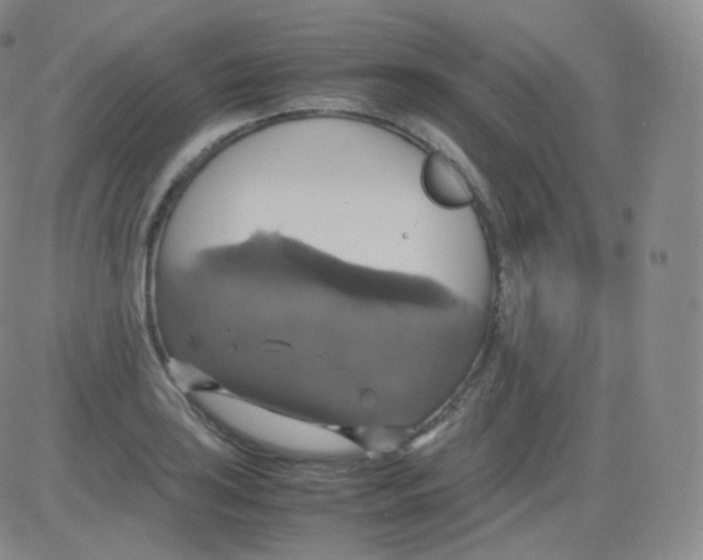 X0000082691035200702232159