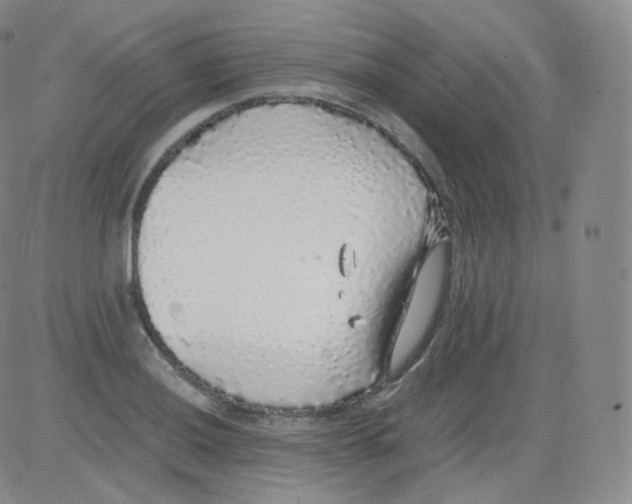 X0000082691036200702232159