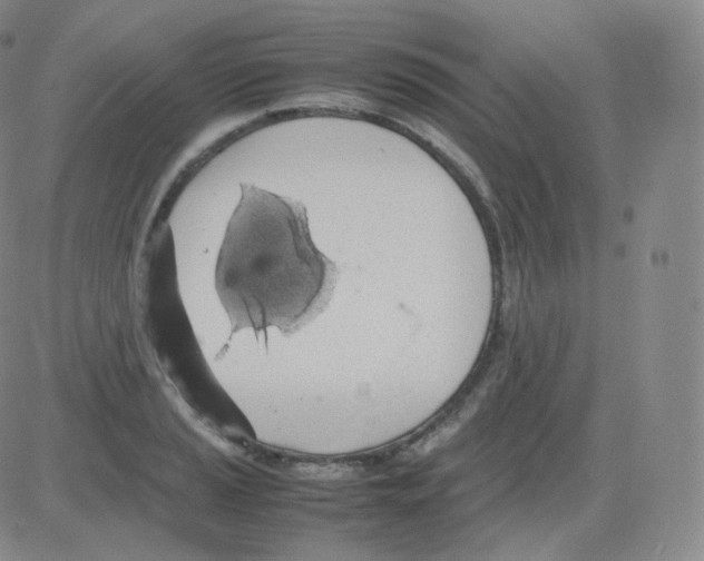 X0000082691037200702232159