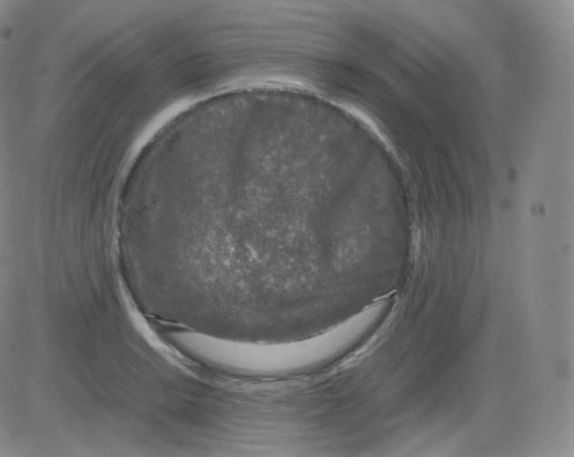 X0000082691038200702232159