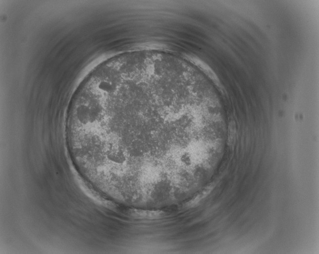 X0000082691039200702232159