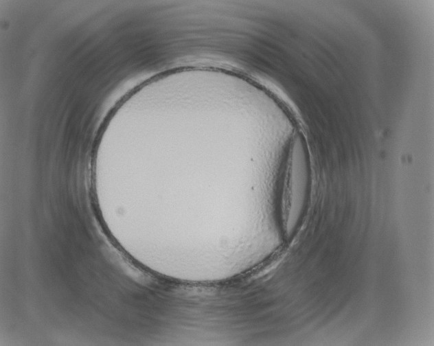 X0000082691040200702232159