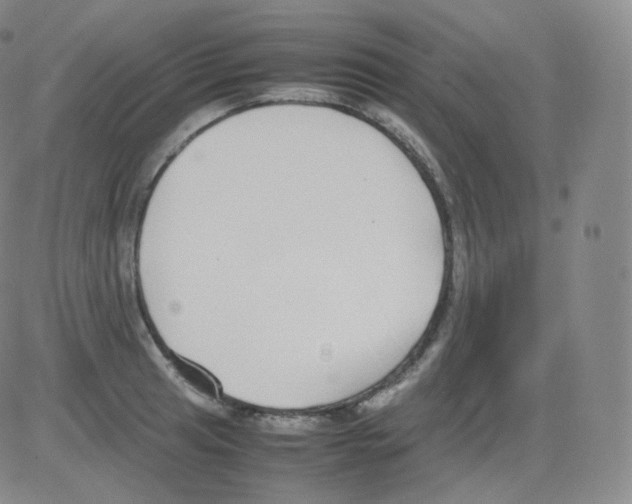 X0000082691041200702232159