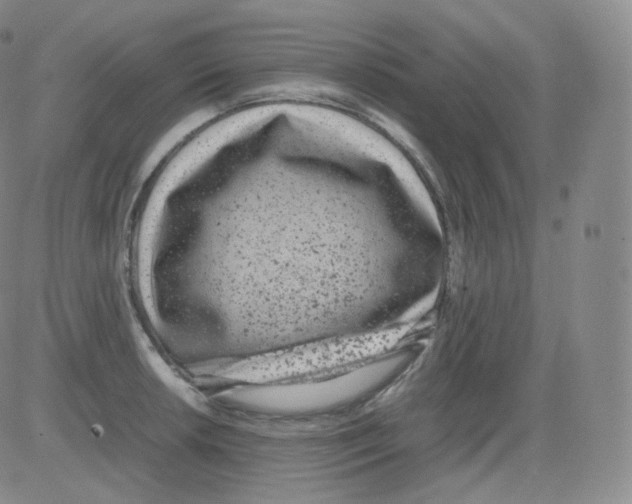 X0000082691042200702232159