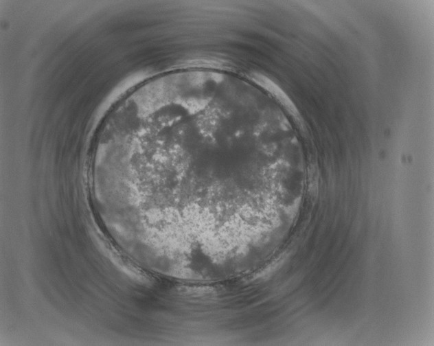 X0000082691043200702232159