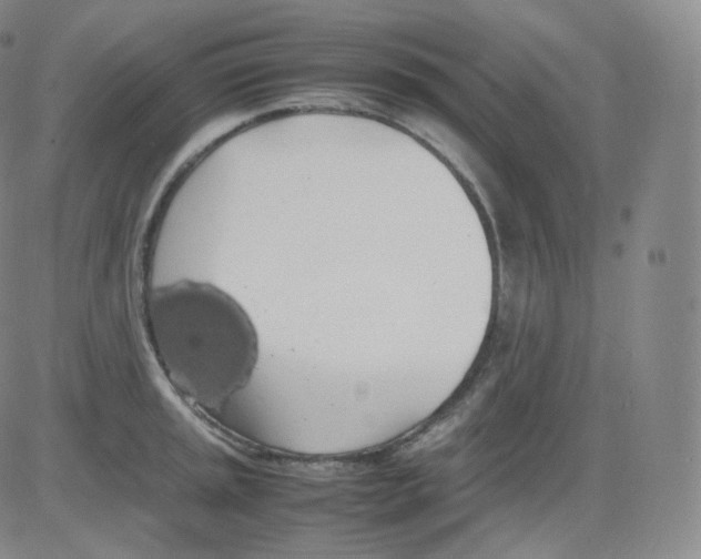 X0000082691045200702232159