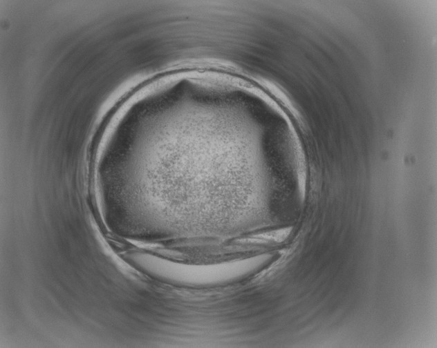 X0000082691046200702232159