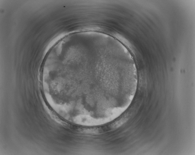 X0000082691047200702232159