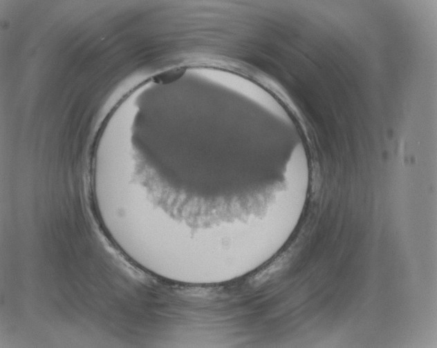 X0000082691048200702232159