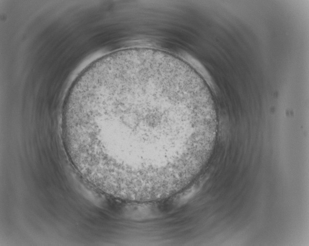 X0000082691051200702232159