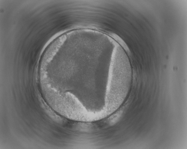 X0000082691052200702232159