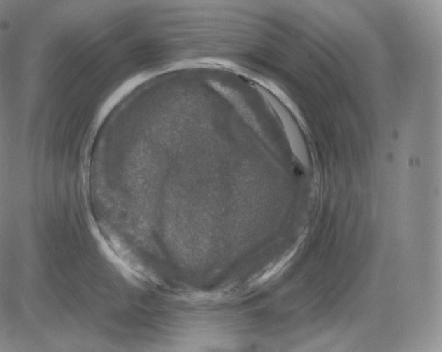 X0000082691054200702232159