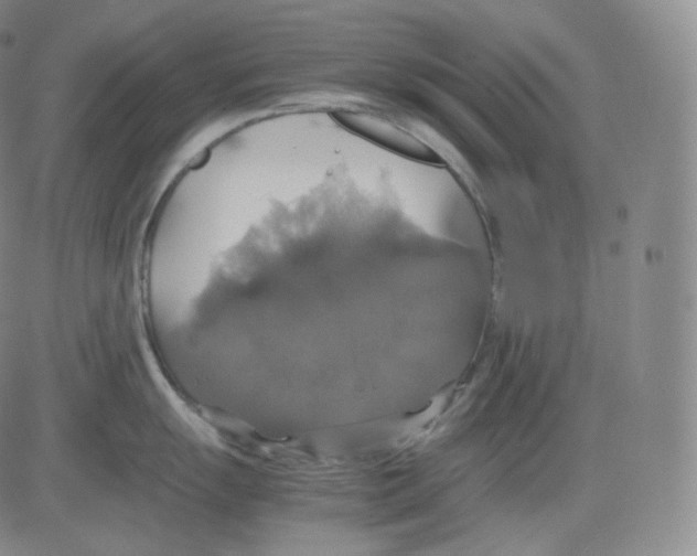 X0000082691055200702232159