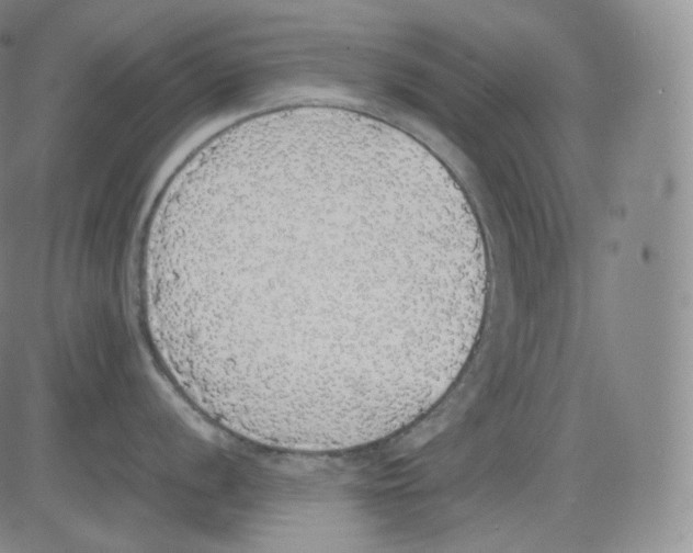 X0000082691056200702232159