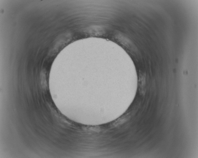 X0000082691058200702232158