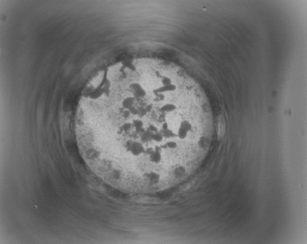 X0000082691059200702232158