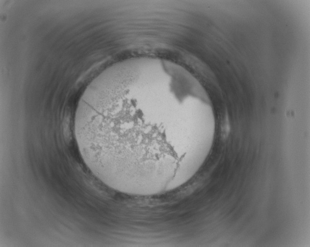 X0000082691060200702232158