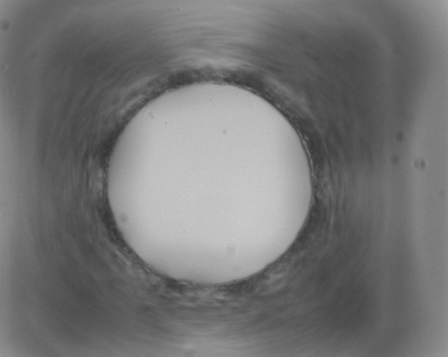 X0000082691061200702232158