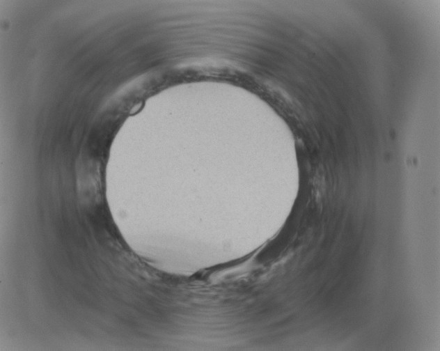 X0000082691062200702232158